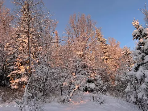 18919 Upper Skyline Dr, Eagle River, AK 99577 photo 24