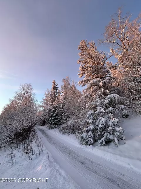 18919 Upper Skyline Dr, Eagle River, AK 99577 photo 17