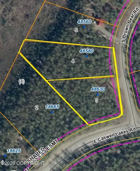 48580 S Brown Bear Rd, Willow, AK 99688