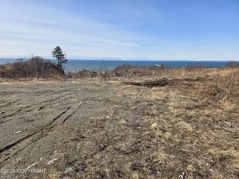 L7 Danver, Anchor Point, AK 99556