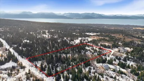 55446 Finch Ave, Homer, AK 99603