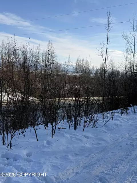 L1 W Togo Woods Drive, Wasilla, AK 99623