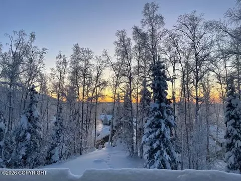 Other - 10857 Splendor Loop, Eagle River, AK 99577 photo 1 of 24