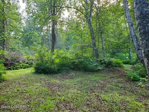 22107 S I St, Talkeetna, AK 99676