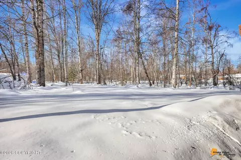 22107 S I St, Talkeetna, AK 99676