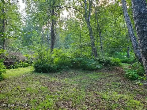 22129 S I St, Talkeetna, AK 99676