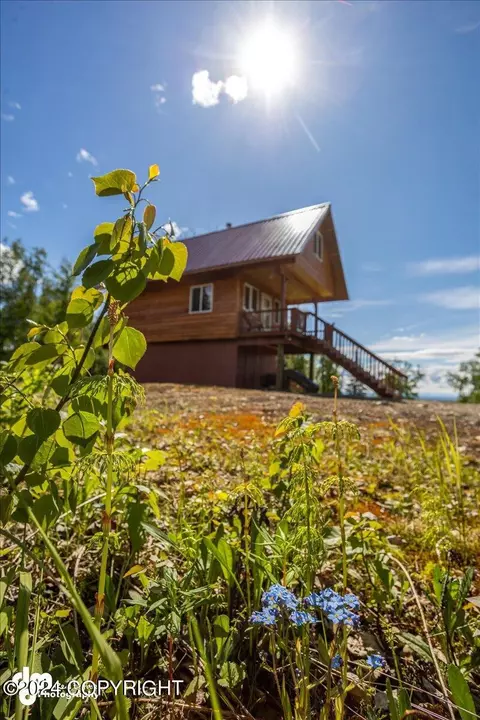 Other - 6151 E Road Way, Willow, AK 99688 photo 28 of 44