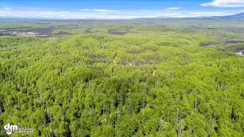 View/Area - 6151 E Road Way, Willow, AK 99688 photo 8 of 10