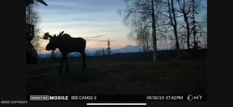 Other - 6151 E Road Way, Willow, AK 99688 photo 39 of 44