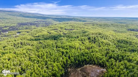 Other - 6151 E Road Way, Willow, AK 99688 photo 22 of 44