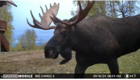 Other - 6151 E Road Way, Willow, AK 99688 photo 40 of 44
