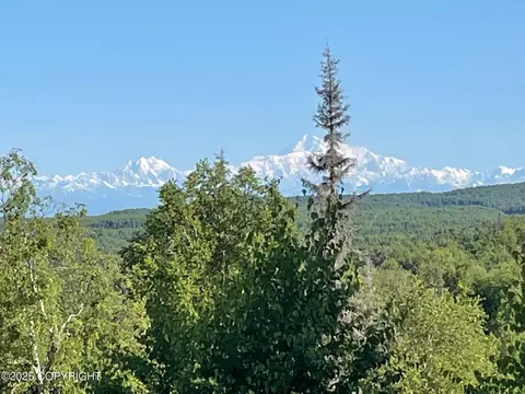 Other - 6151 E Road Way, Willow, AK 99688 photo 43 of 44