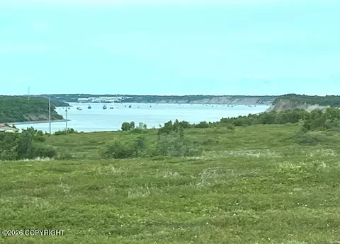 81 Lynx Loop, Naknek, AK 99633