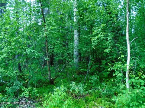 20026 E Deep Woods Way, Willow, AK 99688