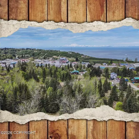 66597 Bach Ave, Ninilchik, AK 99639