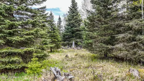 15898 Garroutte St, Ninilchik, AK 99639 photo 2