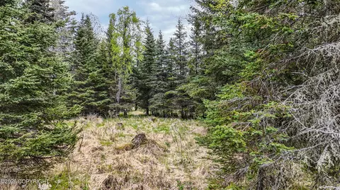 15898 Garroutte St, Ninilchik, AK 99639 photo 6