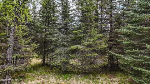 15898 Garroutte St, Ninilchik, AK 99639 photo 7