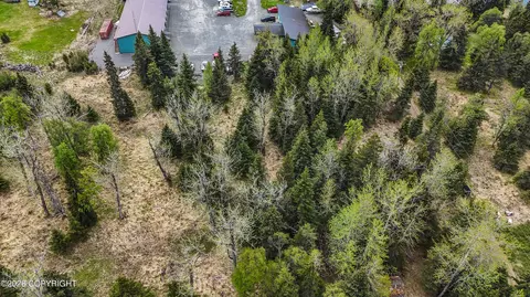 15898 Garroutte St, Ninilchik, AK 99639 photo 3