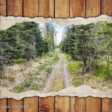 15898 Garroutte St, Ninilchik, AK 99639