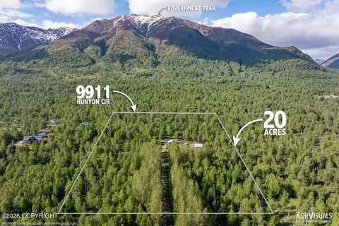 9911 N Runyon Cir, Palmer, AK 99645