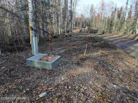 51030 S Caswell Creek Dr, Willow, AK 99688