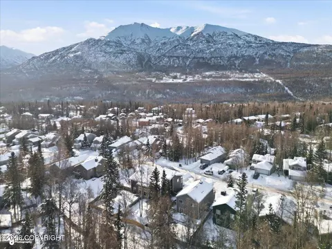View/Area - 18909 Sarichef Loop, Eagle River, AK 99577 photo 5 of 6