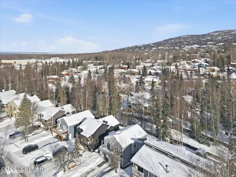 View/Area - 18909 Sarichef Loop, Eagle River, AK 99577 photo 3 of 6