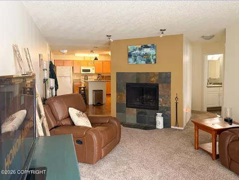 Living - 3929 E Turnagain Blvd # 7, Anchorage, AK 99517 photo 4 of 4
