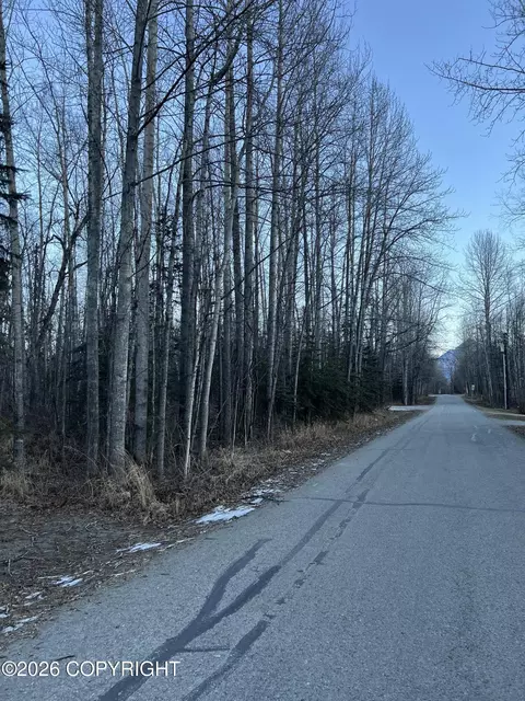 22025 E Mcpherson Ave, Sutton, AK 99674