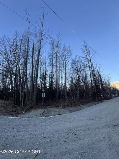 22025 E Mcpherson Ave, Sutton, AK 99674 photo 3