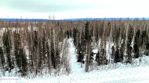 47047 S Hawk Ave, Willow, AK 99688 photo 3