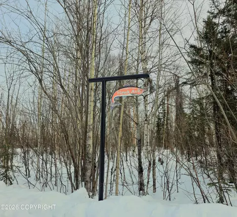 47047 S Hawk Ave, Willow, AK 99688 photo 6