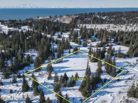 72697 Kingair Ave, Anchor Point, AK 99556
