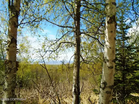 L2b Goldenview Drive, Anchorage, AK 99516
