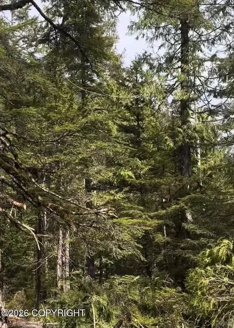 L1 W El Capitan Subdivision, Whale Pass, AK 99950