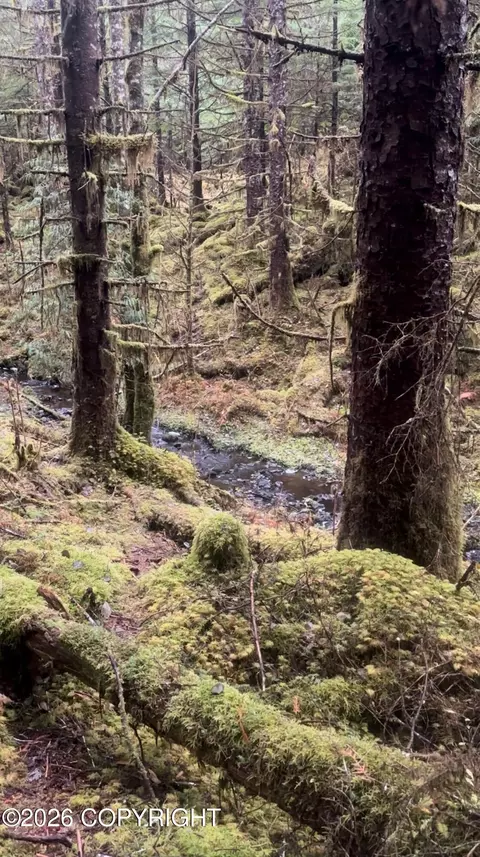 L7 B2 Coffman Loop, Coffman Cove, AK 99918