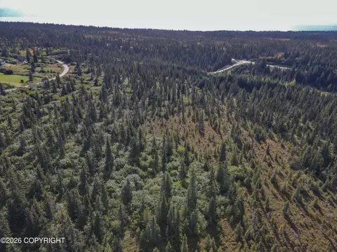 67225 Endless View Loop, Homer, AK 99603 photo 4