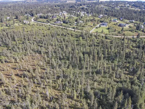 67225 Endless View Loop, Homer, AK 99603 photo 5