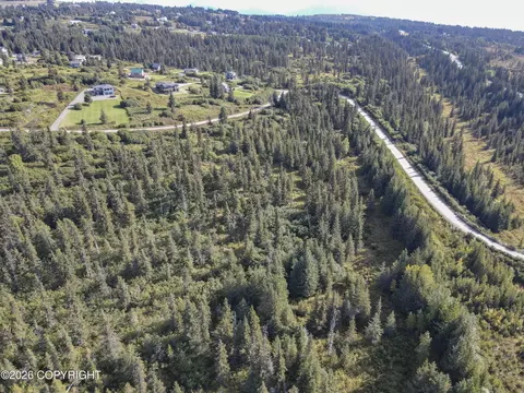 67225 Endless View Loop, Homer, AK 99603 photo 3