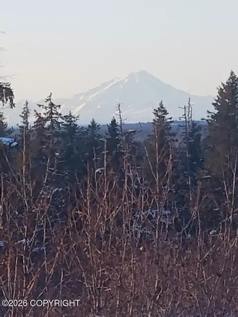 67225 Endless View Loop, Homer, AK 99603 photo 15