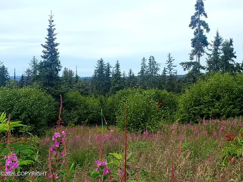 67225 Endless View Loop, Homer, AK 99603 photo 17