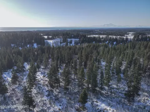 67225 Endless View Loop, Homer, AK 99603 photo 6