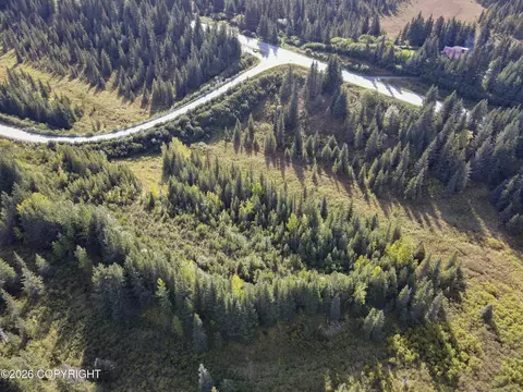67225 Endless View Loop, Homer, AK 99603 photo 2