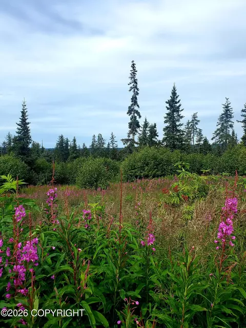 67225 Endless View Loop, Homer, AK 99603 photo 16