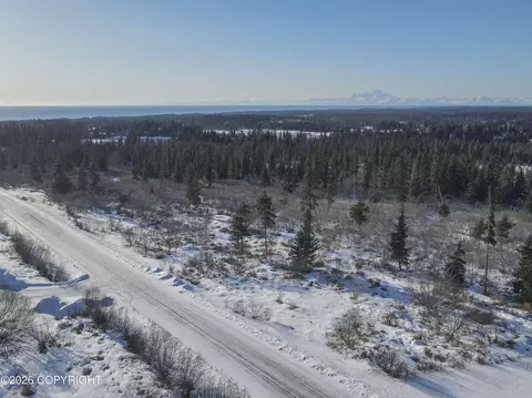 67225 Endless View Loop, Homer, AK 99603 photo 8