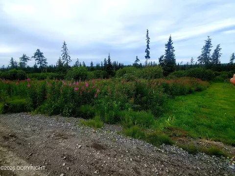 67225 Endless View Loop, Homer, AK 99603 photo 14