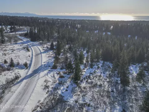 67225 Endless View Loop, Homer, AK 99603 photo 7
