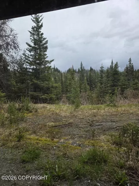 22690 Shady Dr, Ninilchik, AK 99639 photo 22
