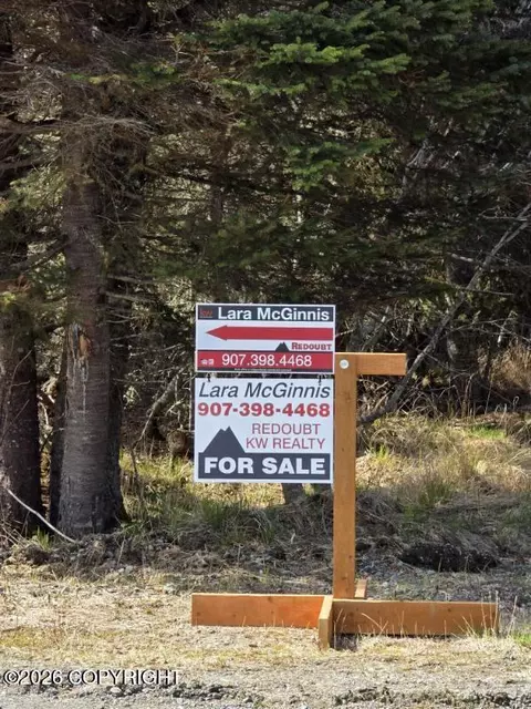 22690 Shady Dr, Ninilchik, AK 99639 photo 24